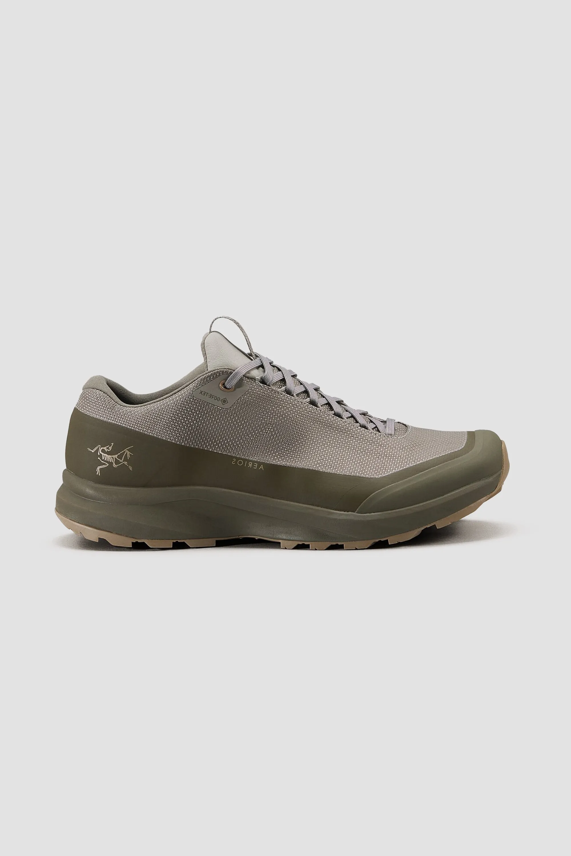 Arc'teryx Men's Aerios FL 2 GTX Shoe in Forage/Tatsu